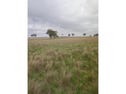 888 Comialla Road, Cassilis, NSW 2329