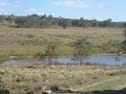 243 Taylors creek Rd, Tarago, NSW 2580