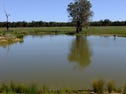 Purlewaugh, address available on request