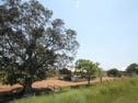 106 Southampton Road, South Grafton, NSW 2460