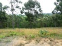 1 Bermagui-Cobargo Rd, Bermagui, NSW 2546