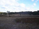 1596 Oallen Ford Road, Windellama, NSW 2580