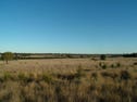 Lot 23 Panai Avenue, Dubbo, NSW 2830