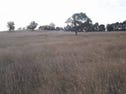 Lot 11 Eloura Road, Windellama, NSW 2580