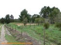 52 Tunnel Rd, Dalveen, Qld 4374