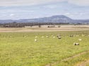 Lot 1, 157 Natrass Road, Ross Creek, Vic 3351