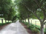 114 Myra Vale Road, Wildes Meadow, NSW 2577
