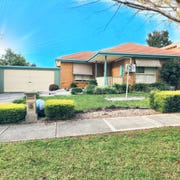 Dynasty Real Estate Springvale Real Estate Agency Profile