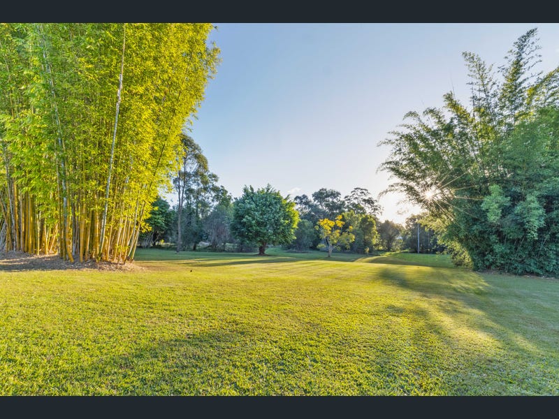 51 Blue Wing Boulevard, Banks Pocket