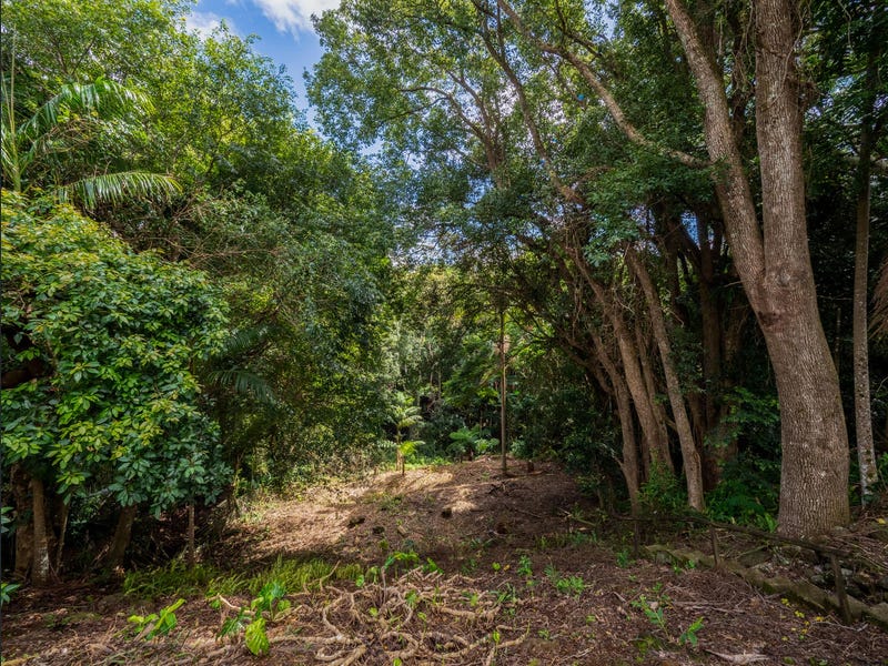 11 Carrington Drive, Flaxton
