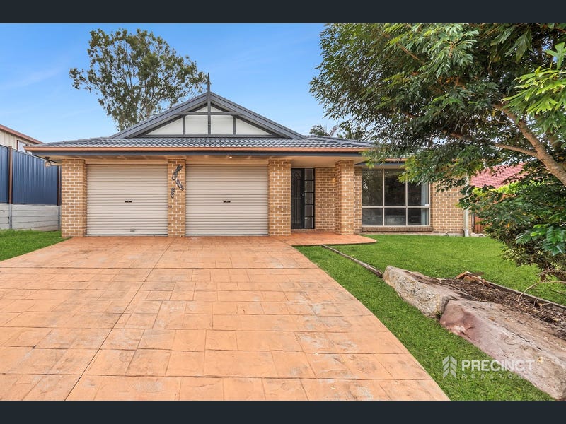 8 Timbarra Court, Petrie