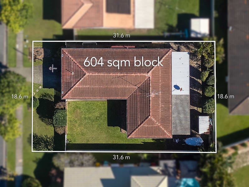 7 Razorbill Street, Burleigh Waters