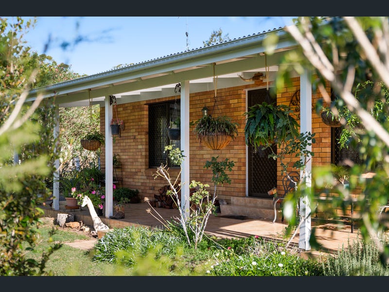 49 Albert Street, Crows Nest