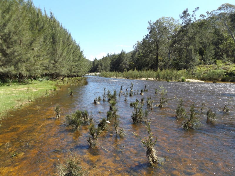 10552 Old Grafton Road, Glen Innes, NSW 2370 Property Details