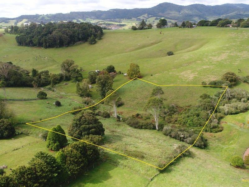 30 Kurrajong Street, Dorrigo, NSW 2453