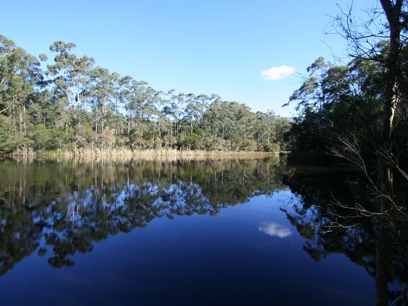 110 Osland Road, Freemans Waterhole, NSW 2323 Property Details