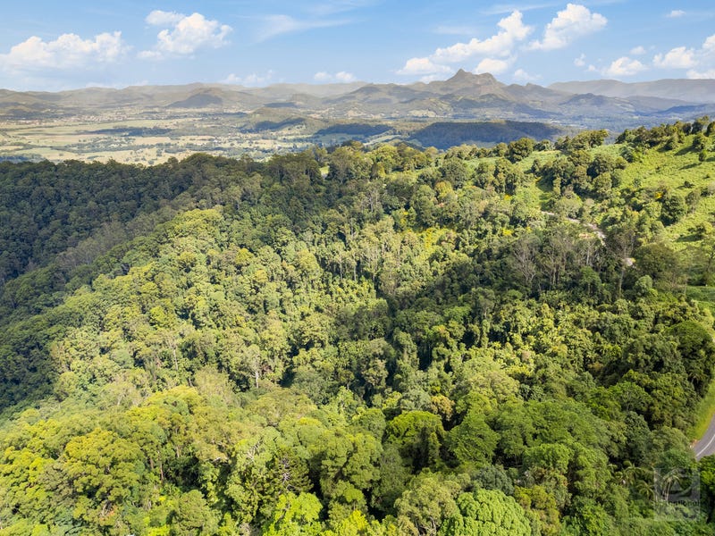 978 Tomewin Road, Tomewin, NSW 2484