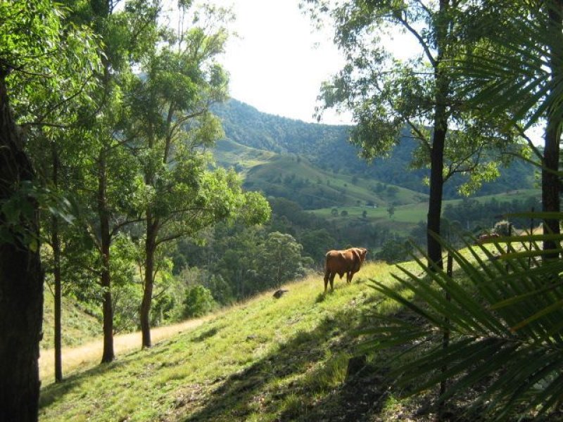 2310 Running Creek Road, Running Creek, Qld 4287 Property Details