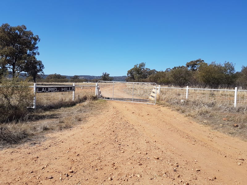 Laurel Hills, Tooraweenah, NSW 2817 Property Details