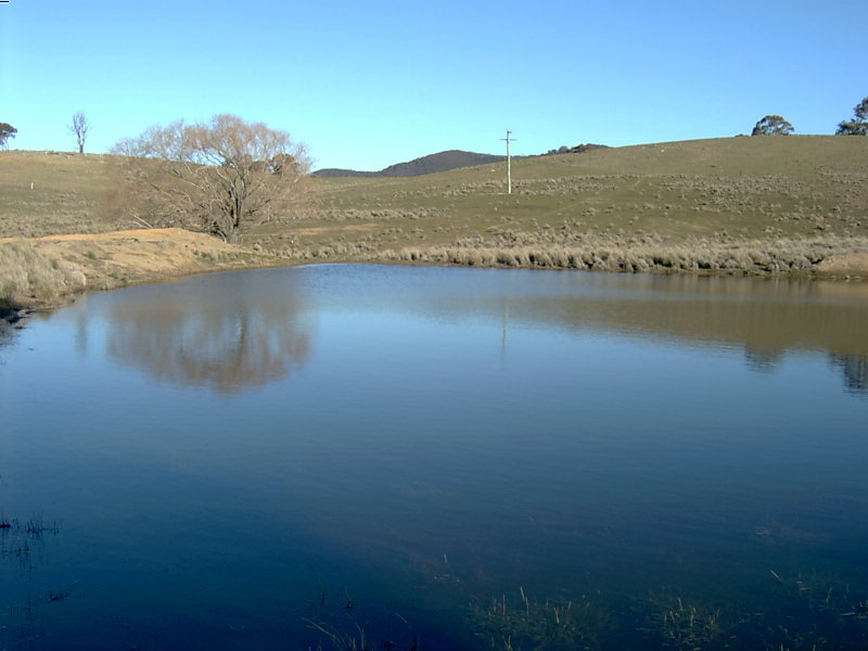 Lake Bathurst, NSW 2580 Sold Property Prices & Auction Results Pg. 2