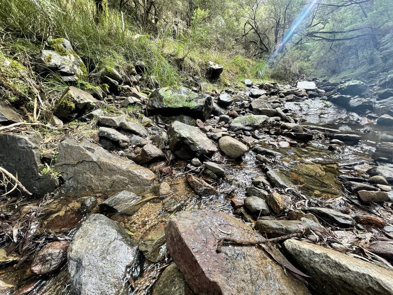 85/305 Big Jack Mountain Road