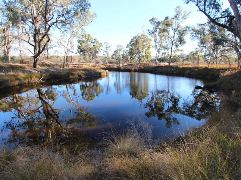 14371 Guyra Road, Tingha, NSW 2369 Property Details