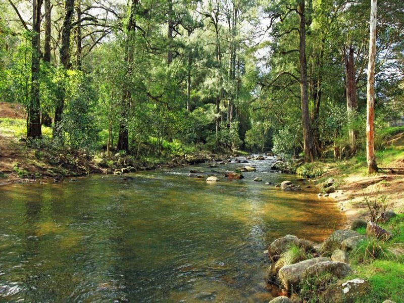 230 Allans Road, Kangaroo Valley, NSW 2577 Property Details