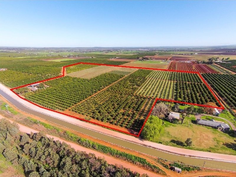 Farms 1855 &1856 Scott Road, Griffith, NSW 2680 Property Details