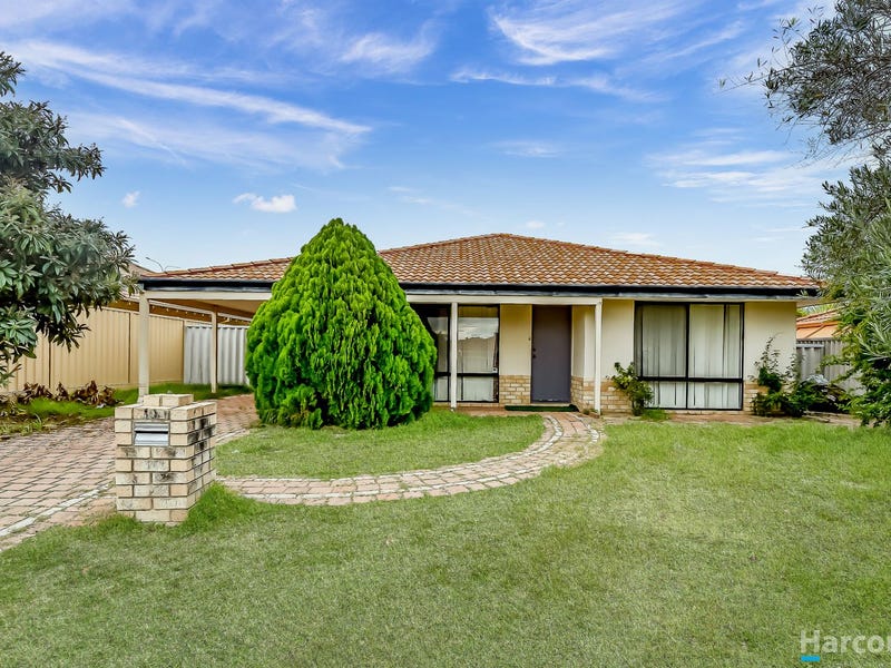 4 thesis court marangaroo 06 image