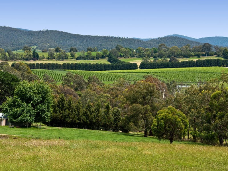 214 Beachs Lane, Dixons Creek, Vic 3775 Property Details