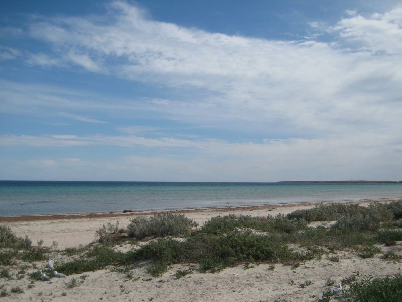 5 Otago Road (North Beach), Wallaroo, SA 5556 Property Details