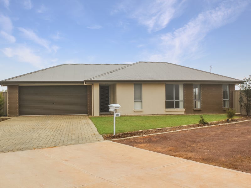 246 Cartledge Avenue, Whyalla Jenkins, SA 5609