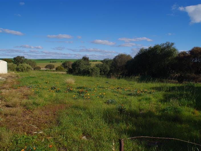 17 First Street, Curramulka, SA 5580