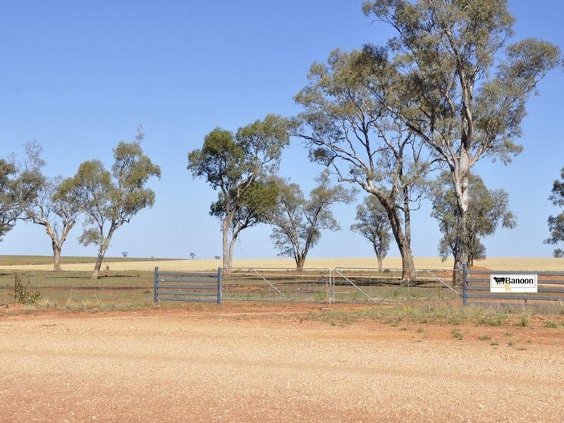 "Banoon ", Nyngan, NSW 2825 Property Details