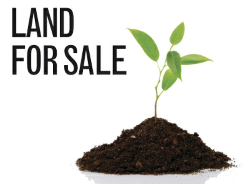 Lot 666 Haywire Avenue