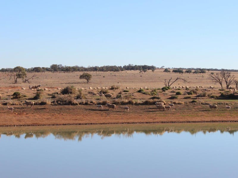 2529 Teryawynia Road, Ivanhoe, NSW 2878 Property Details