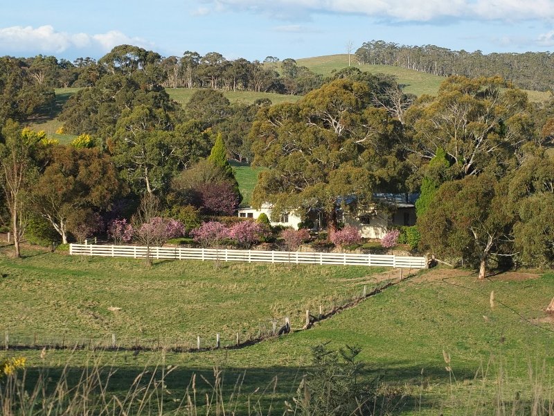 335 Curly Dick Road, Meadow Flat, NSW 2795 Property Details