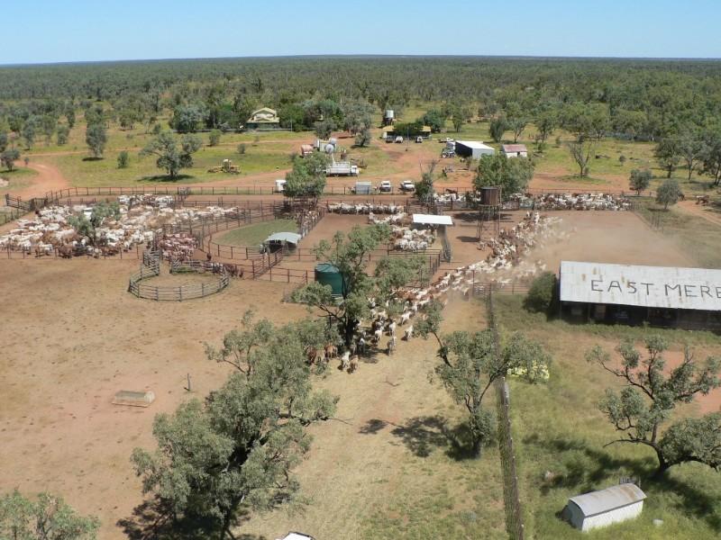 0 Aramac Road, Aramac, Qld 4726 Property Details