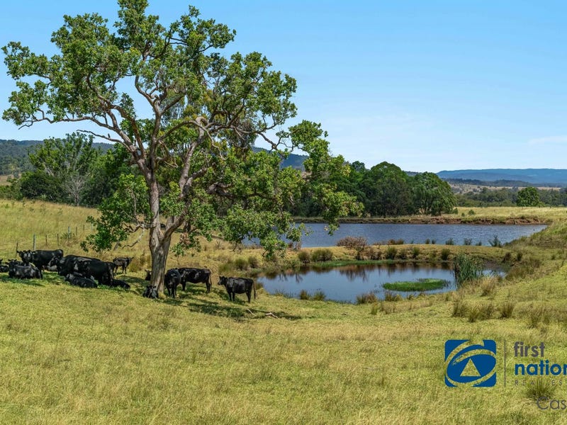 10366 Mount Lindesay Road