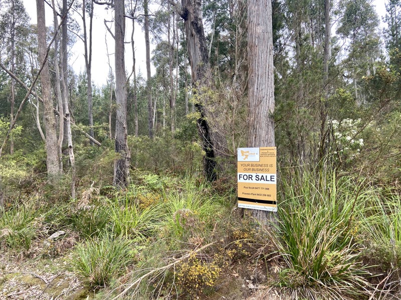 286 Pipers Brook Road, Lebrina, Tas 7254