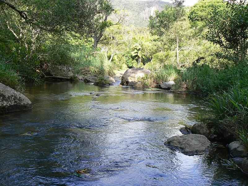 443 Upper Wilsons Creek, Wilsons Creek, NSW 2482 Property Details