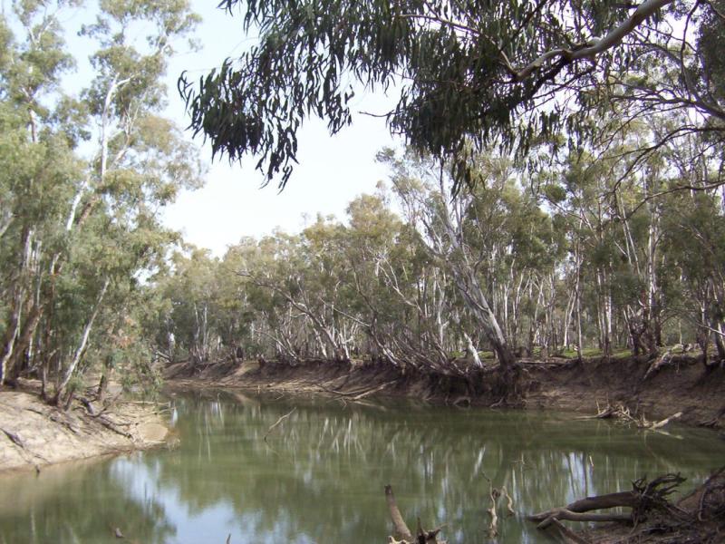 Little Murray River Murrabit Via, Barham, NSW 2732 Property Details