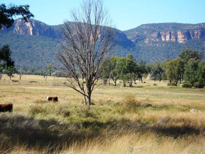 "Wattys" Upper Nile Road, Glen Alice, NSW 2849 Property Details