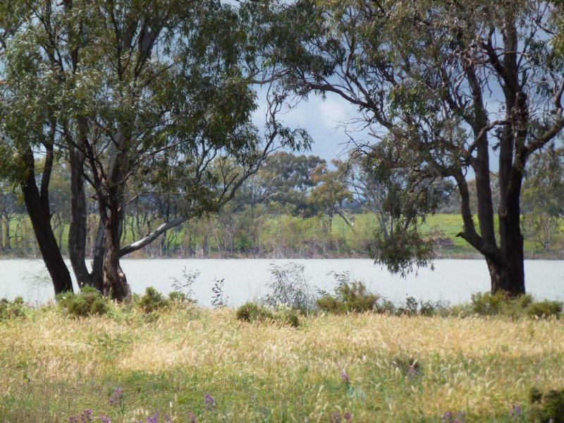 Lots 30 & 31 Wells Street (CURLEW WATERS), Lake Cargelligo, NSW 2672