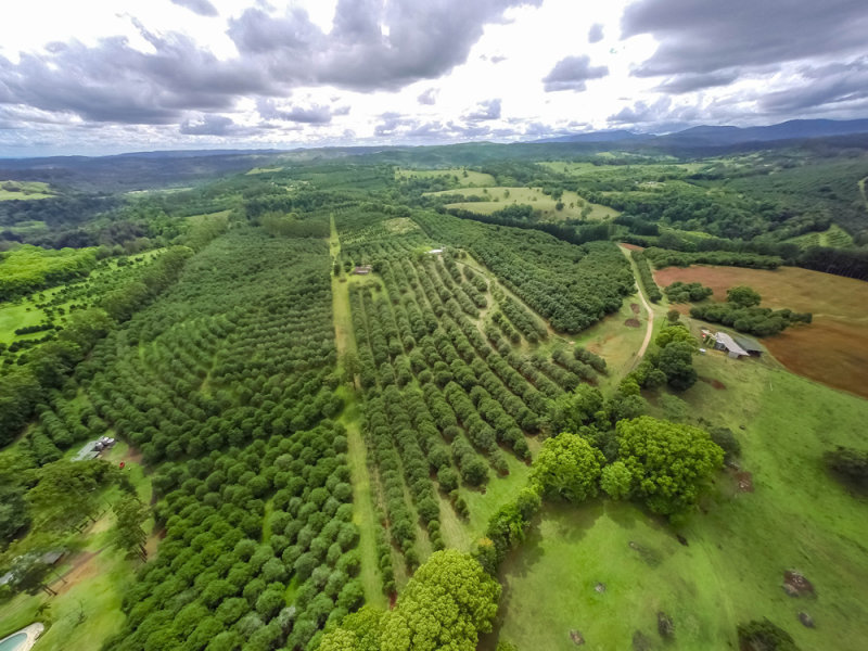 5 East Road, Dunoon, NSW 2480 Property Details