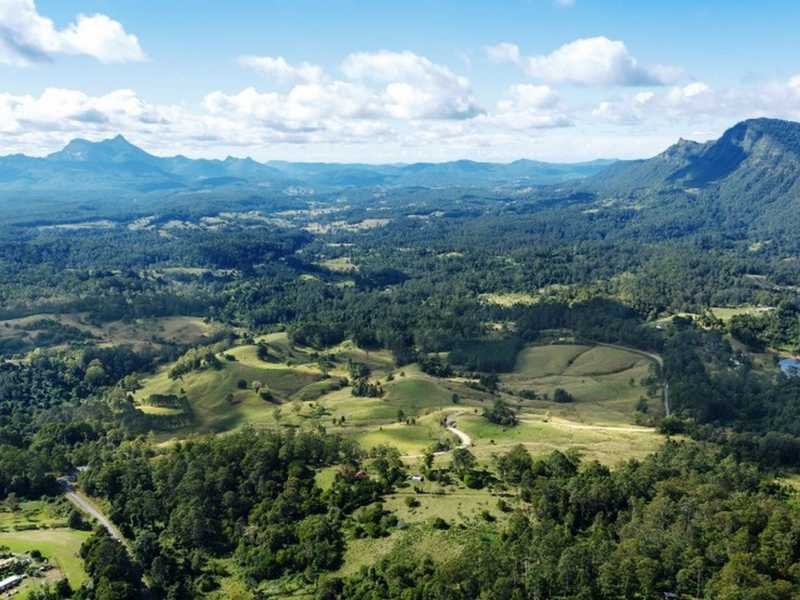 4012 Kyogle Road, Mount Burrell, NSW 2484 Property Details