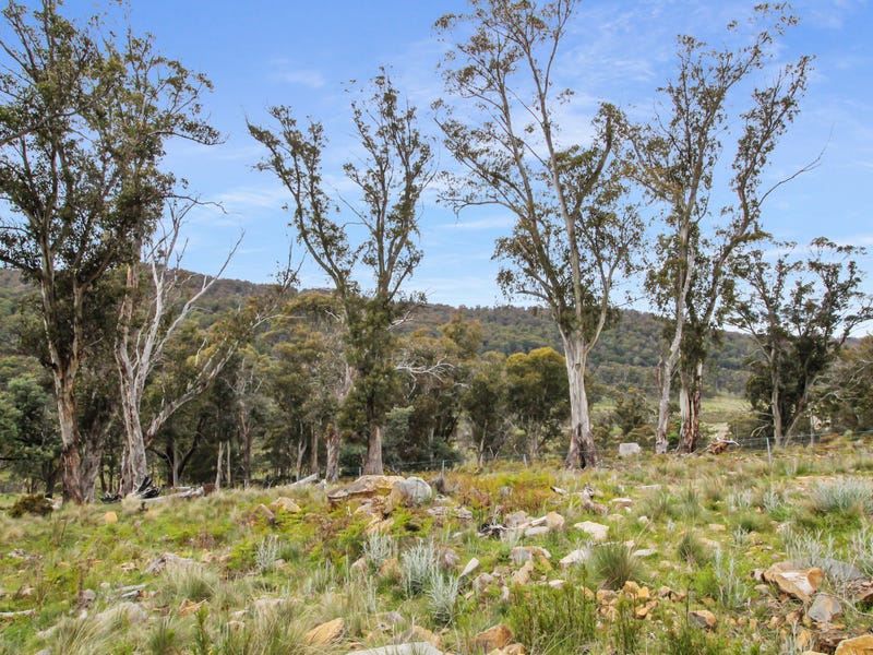 41 Bronte Estate Road, Bronte Park, Tas 7140