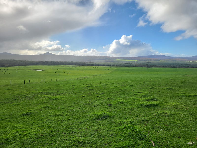 378 Hazelvale North Road