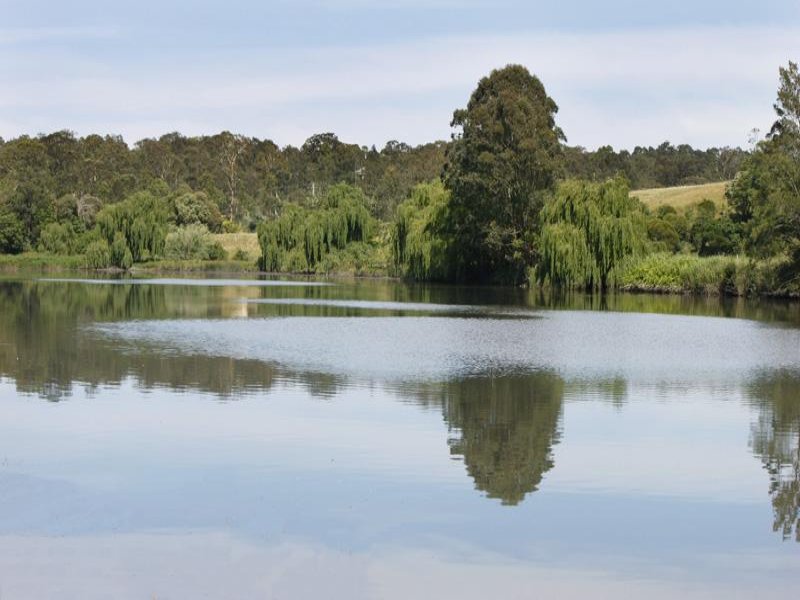 . WILLIAMS RIVER ESTATE, Clarence Town, NSW 2321 Property Details